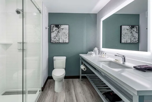 غرفة قياسية بسرير كينج، Cambria Hotel Shelby Township - Detroit Utica 3/3