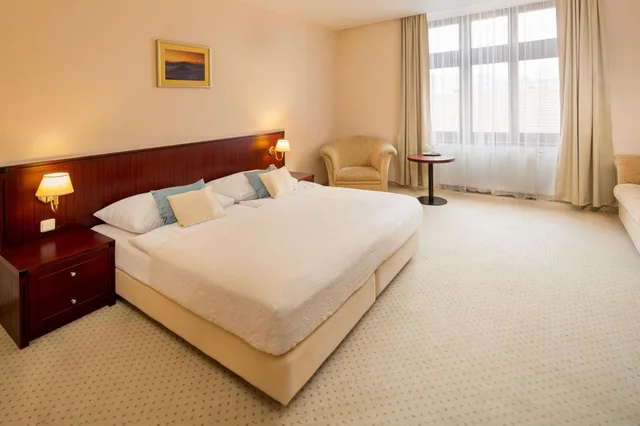 غرفة بسرير مزدوج أو سريرين منفصلين، Kultura Hotel 1/4