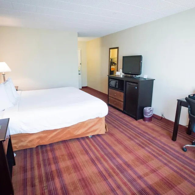 غرفة بسرير كينج لذوي الإعاقة، Exton Hotel And Conference Center 4/8