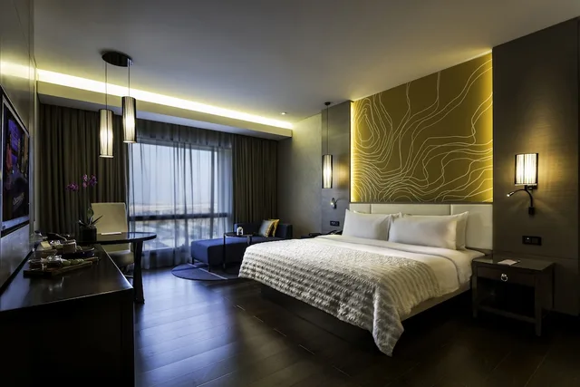 Collection Room H, Radisson Collection Muscat, Hormuz Grand 2/10