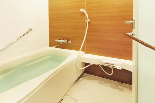 Western, Moderate, Twin Beds، Tokyo Bay Maihama Hotel First Resort 4/4