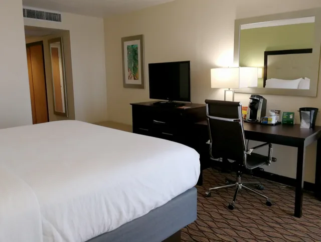 غرفة بسرير كينج، Holiday Inn Corpus Christi Downtown Marina 3/4