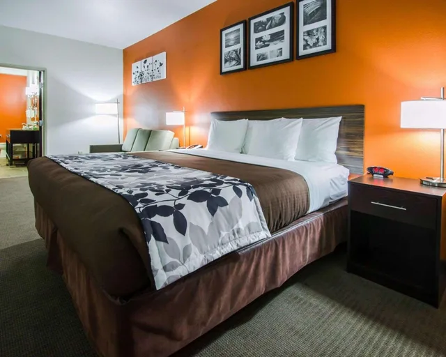 جناح ديلوكس، Sleep Inn & Suites And Conference Center Downtown 2/5