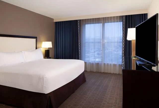 جناح بغرفة نوم واحدة لذوي الإعاقة، Hilton Alexandria Old Town 2/6