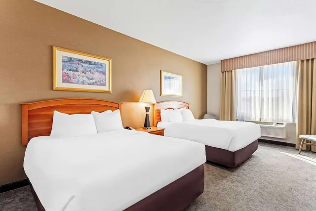 غرفة بسريرين كوين لذوي الإعاقة، Comfort Inn & Suites I-25 near Spaceport America 1/4