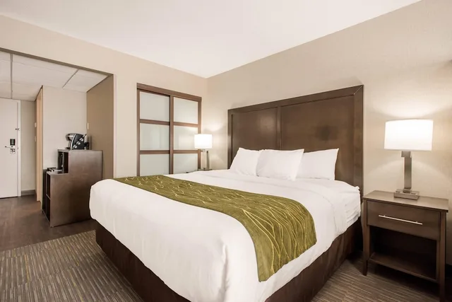 غرفة قياسية بسرير كينج، Comfort Inn & Suites Red Deer North 2/6