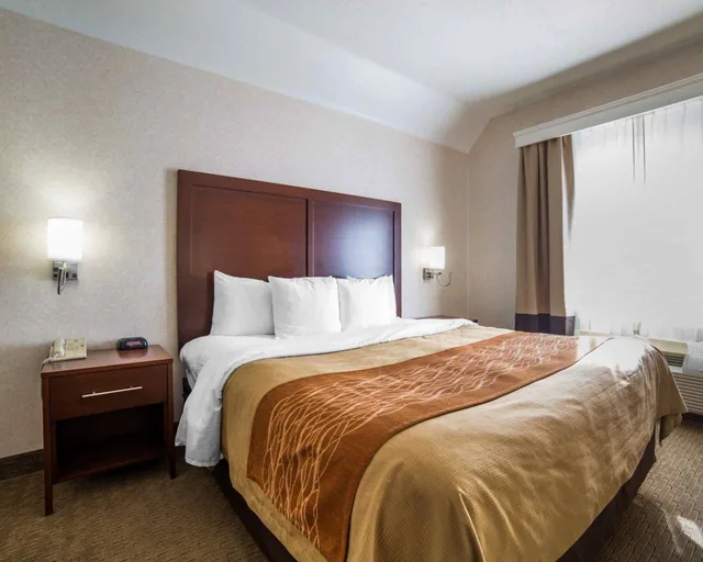غرفة بسرير كينج لذوي الإعاقة، Comfort Inn Elko 6/9