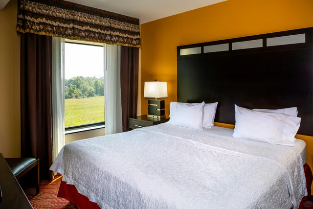 Studio, King Bed, Accessible, Hampton Inn Limerick-Philadelphia Area 1/3
