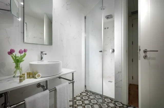 Room, Single, Double Bed, River View, Eurostars Porto Douro 5/5