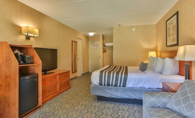 غرفة قياسية بسرير كينج مع أريكة، Best Western Brantford Hotel Conference Centre 4/6