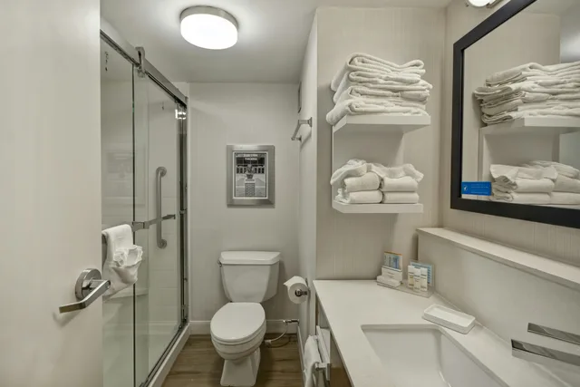 Room, King Bed, Sofa, Hampton Inn Auburn 3/3