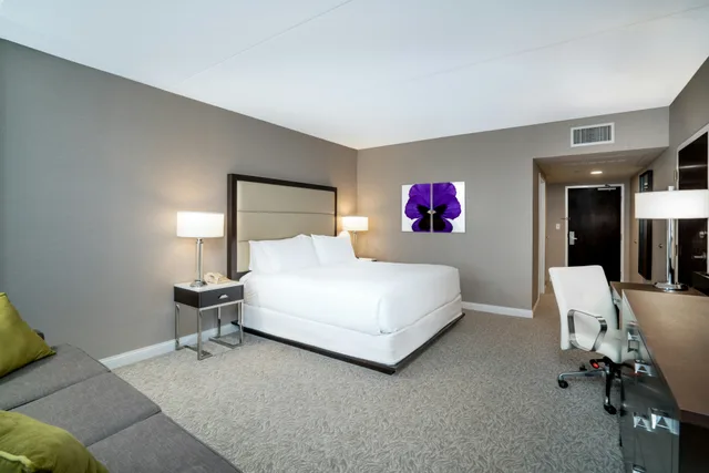 غرفة بسرير كينج مع أريكة، Holiday Inn Wilmington 2/3