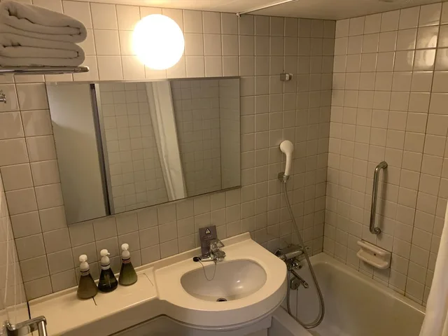 غرفة ديلوكس بسريرين منفصلين، Nagoyaeki Access Hotel 5/5