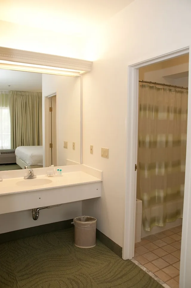 Suite, King Bed, Sofa, Springhill Suites Las Cruces 5/5