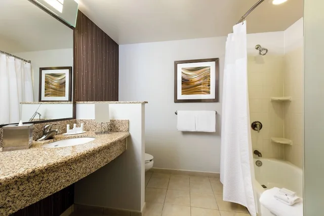 جناح بسرير كينج بغرفة نوم واحدة مع أريكة لذوي الإعاقة، Courtyard By Marriott Houston By the Galleria 2/2