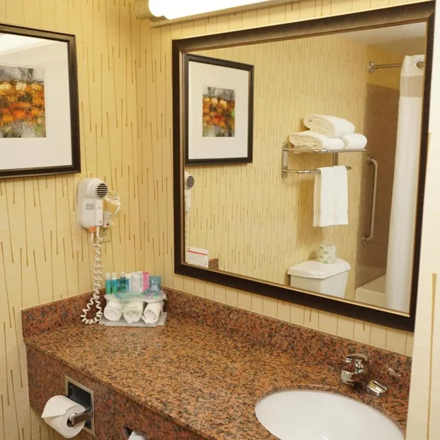 جناح استوديو بسرير كينج لذوي الإعاقة، Holiday Inn Express Hotel Suites Gibson 5/6