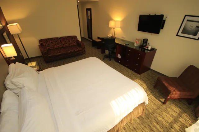 غرفة قياسية بسرير كينج، Holiday Inn Leon 7/10