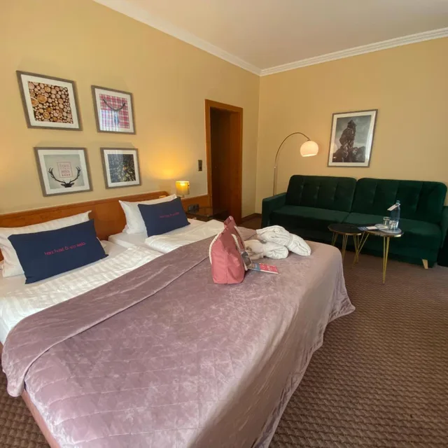 Harz Comfort, Superior, Double Bed, Harz Hotel & Spa Seela 1/6