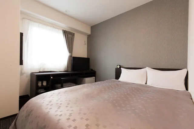 غرفة بسرير مزدوج، Aston Plaza Kansai Airport 1/3