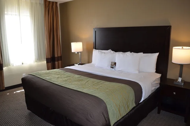 غرفة قياسية بسرير كينج بحوض جاكوزي، Comfort Inn Downtown Detroit MI 3/9