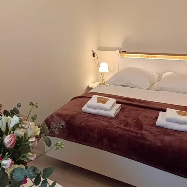 شقة بغرفة نوم واحدة، Cracow Central Aparthotel 4/9