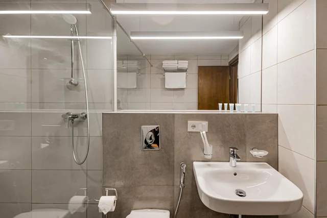 Deluxe, Double Bed, Sofa, Kutaisi Inn 4/6