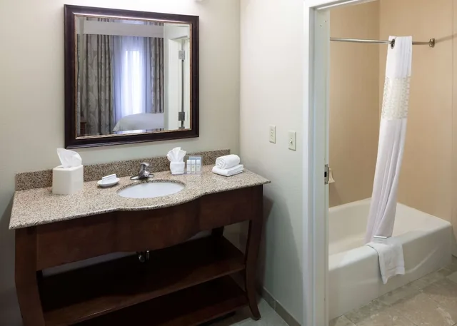 Studio, King Bed, Sofa, Hampton Inn & Suites Colorado Springs/I-25 South 2/4