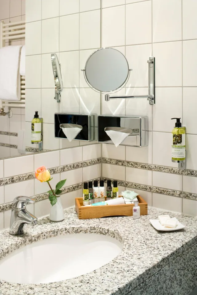 غرفة قياسية مفردة، Mercure Hotel Plaza Essen 18/18