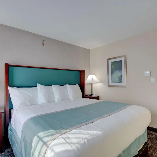 جناح بسرير كينج بغرفة نوم واحدة مع أريكة، Best Western Hampshire Inn And Suites Seabrook 1/6