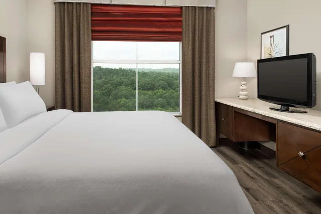 جناح بريميوم ركني بسرير كينج بغرفتين، Embassy Suites by Hilton Birmingham Hoover 1/2