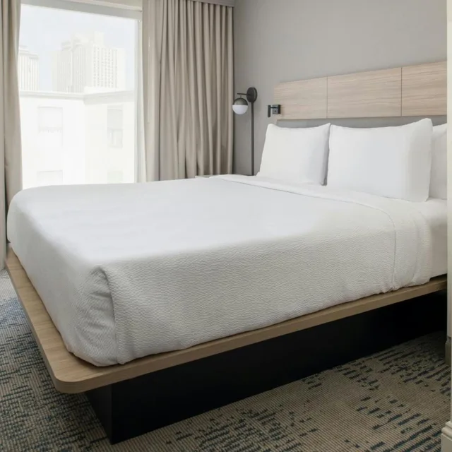 جناح بسرير كينج مع أريكة بحوض استحمام لذوي الإعاقة، SpringHill Suites by Marriott New Orleans Warehouse Arts District 1/10