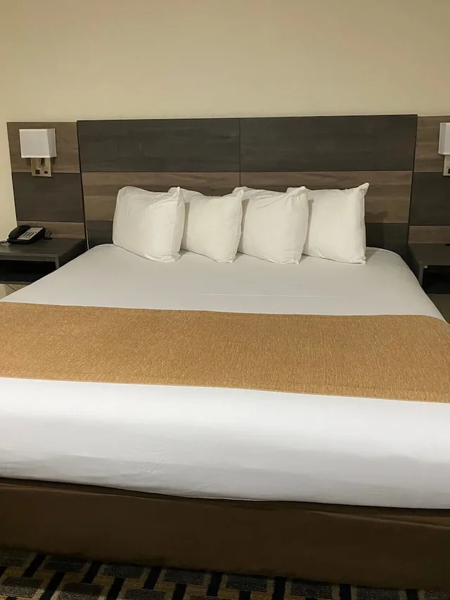 Basic, Single, King Bed, Accessible, Bogart Hotel 6/8