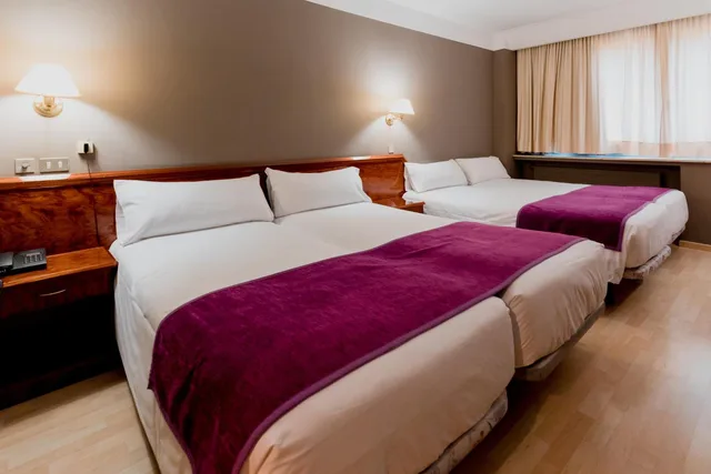 غرفة رباعية بسرير فردي، Hotel Sercotel Delfos Andorra 2/10
