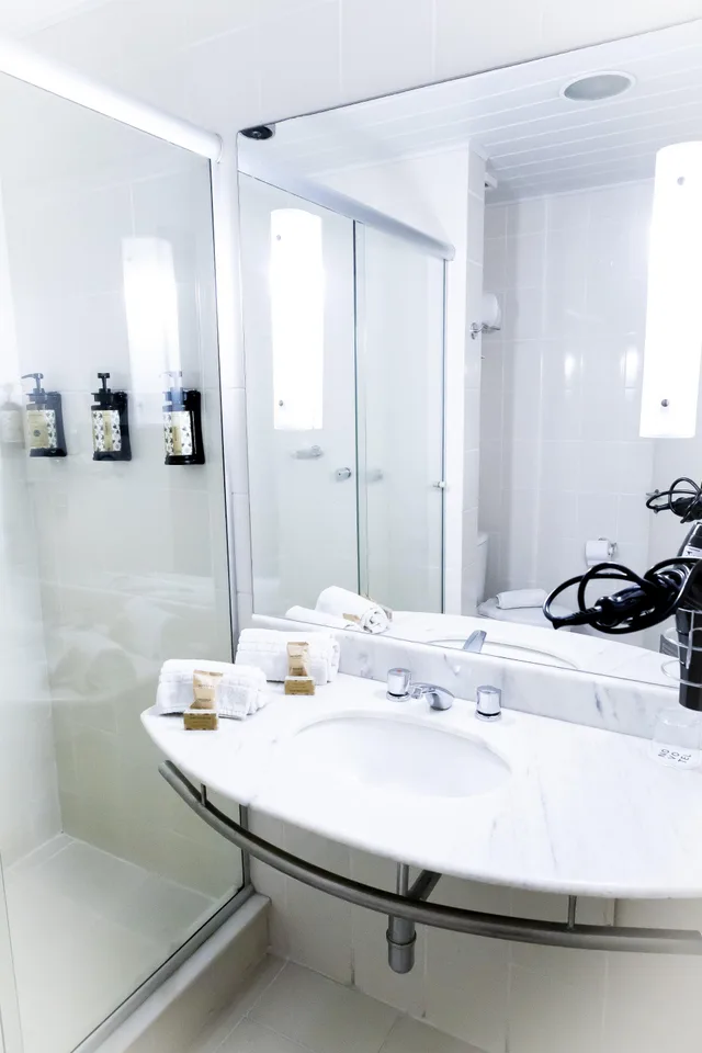 Standard, Double Bed, Jungle View، Novotel Porto Alegre Tres Figueiras 2/2