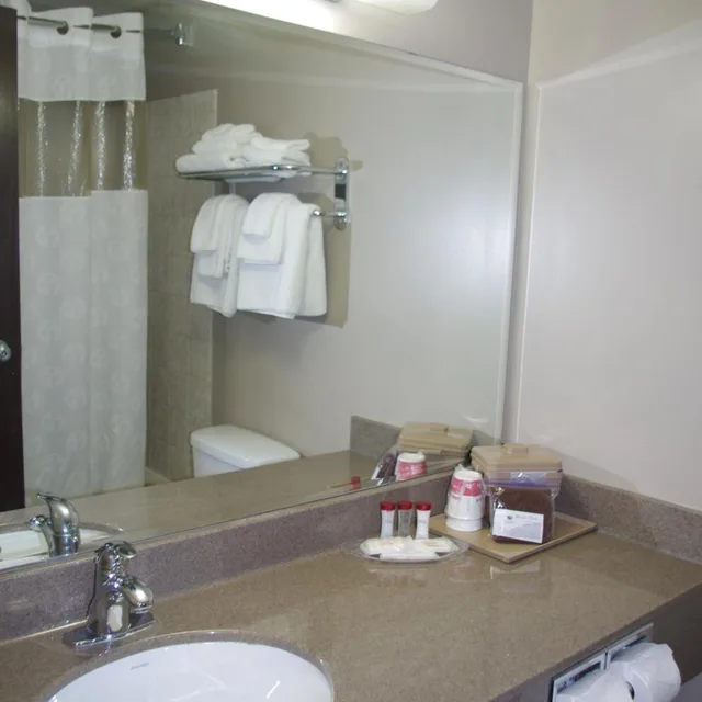 جناح بسرير كينج بغرفة نوم واحدة، South Hill Lodge 5/5