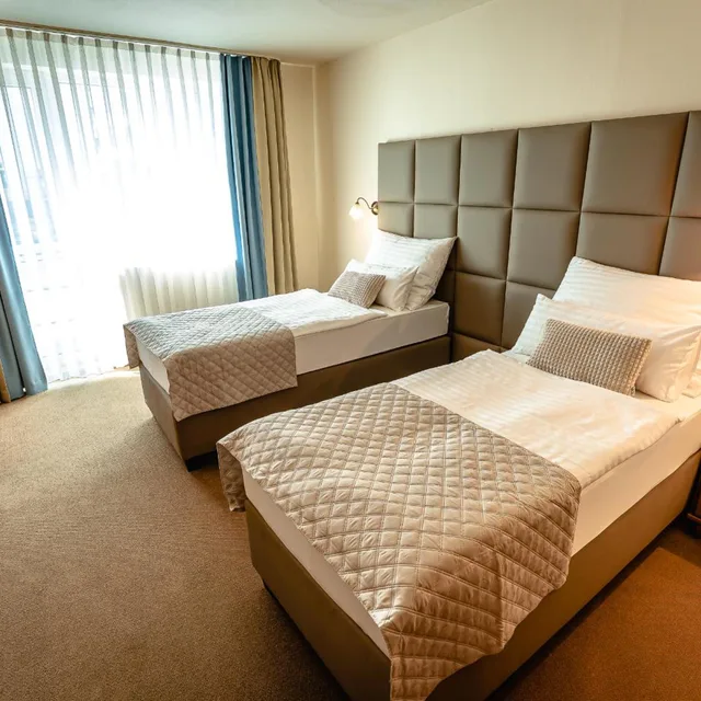 غرفة كومفورت بسريرين منفصلين، Dixon Congress Hotel 3/8