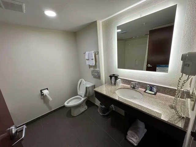Upgrade, Suite, King Bed، Sleep Inn & Suites Pineville - Alexandria 4/4