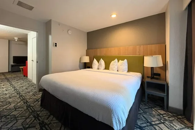 جناح ديلوكس بسرير كينج بغرفة نوم واحدة مع أريكة، Country Inn & Suites by Radisson, Novi, MI 4/10