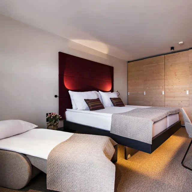 غرفة بسرير مزدوج بشرفة مع سرير إضافي، Rikli Balance Hotel 1/7