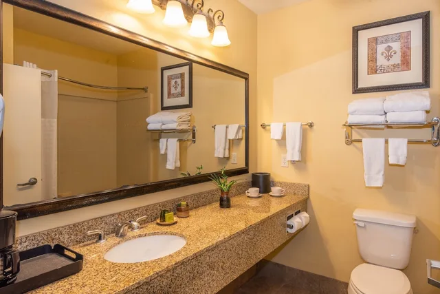 غرفة سوبيريور بسرير كينج بإطلالة على النهر، Natchez Grand Hotel and Suites On The River 3/3