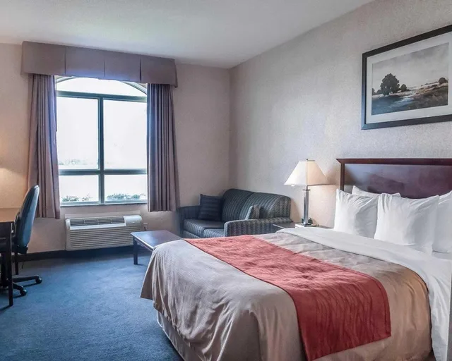 Upgrade, Efficiency, King Bed, Comfort Inn Mississauga 1/6