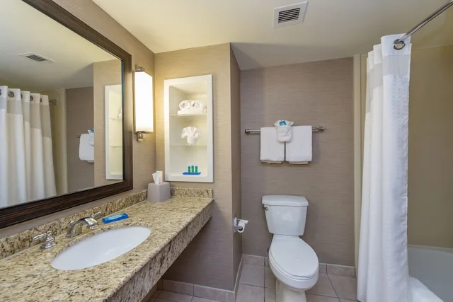 غرفة قياسية بسرير كينج، Holiday Inn Express Hotel And Suites Auburn 6/7