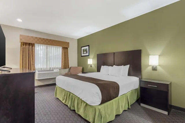 غرفة قياسية بسرير كينج، Best Western Sky Valley Inn 1/10