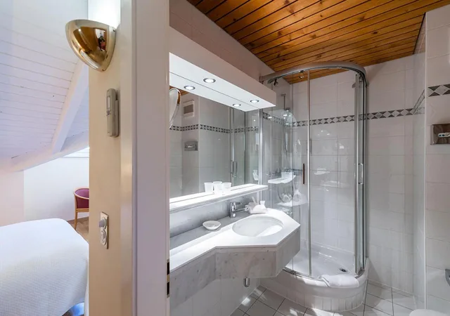 Room, Single Bed, Attic، Les Bains de Saillon 5/5