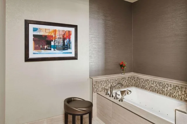 غرفة مفردة بسرير كينج مع أريكة بحوض جاكوزي، Hotel Alex Johnson Rapid City Curio Collection By Hilton 3/6