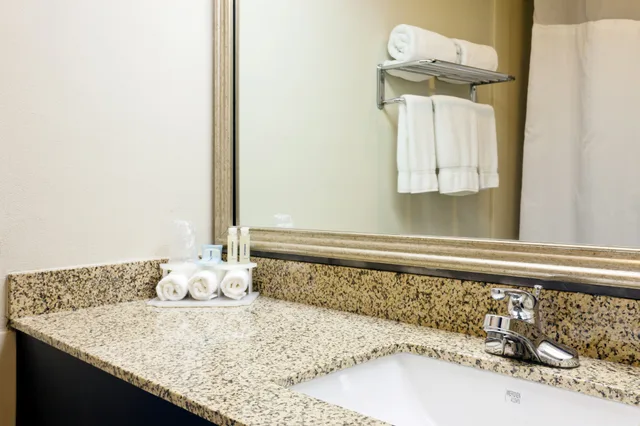 جناح بسرير كينج لذوي الإعاقة، Holiday Inn Express Hotel And Suites Port Clinton Catawba Island 1/1
