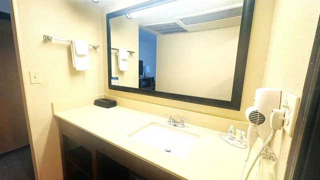 جناح بسرير كينج مع أريكة، Comfort Inn Downtown Salt Lake City, UT 3/8