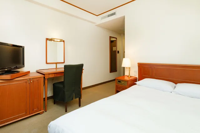 غرفة سوبيريور مزدوجة لغير المدخنين، Plaza Hotel Premier 1/3