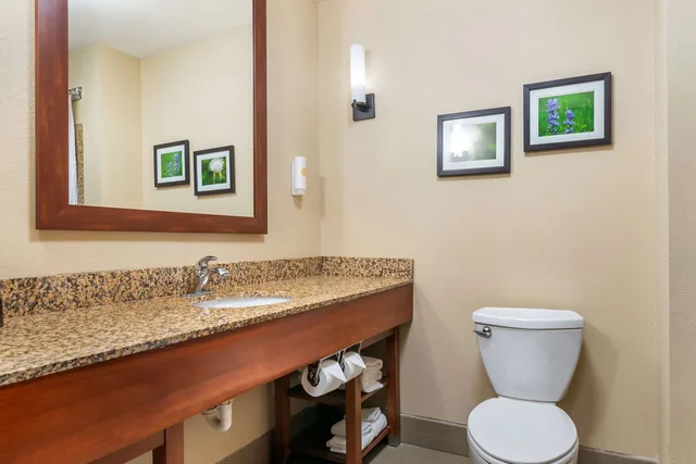جناح بسريرين كوين، Comfort Suites Manhattan 3/3