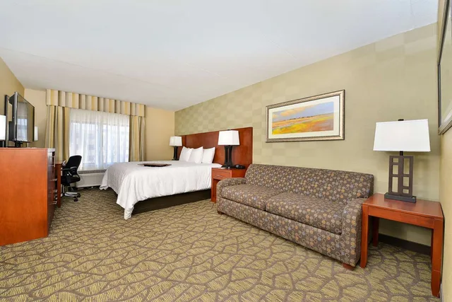 استوديو بسرير كينج، Hampton Inn Detroit Auburn Hills South 1/2